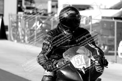 media/Mar-24-2023-Apex Assassins (Fri) [[54485cb5ff]]/Around the Pits/